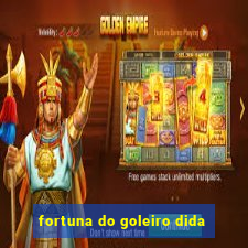 fortuna do goleiro dida